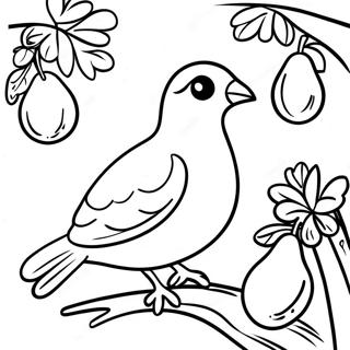 Christmas Bird Coloring Pages