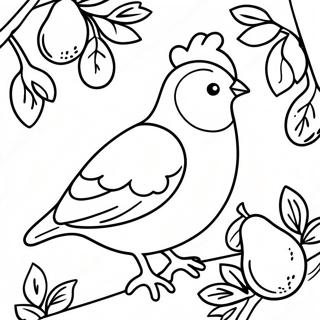 Festive Partridge In A Pear Tree Coloring Page 34843-28031