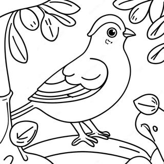 Festive Partridge In A Pear Tree Coloring Page 34843-28032