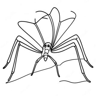 Daddy Long Legs Coloring Page 34942-28112