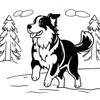 Bernese Mountain Dog Playing In The Snow Coloring Page 35152-28278