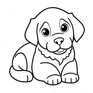 Cute Bernese Mountain Dog Puppy Coloring Page 35153-28276