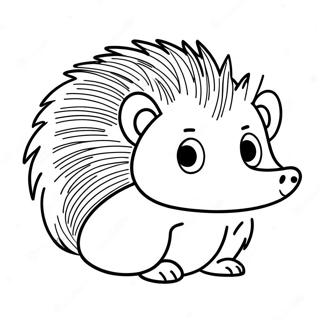 Hedgehog Coloring Pages