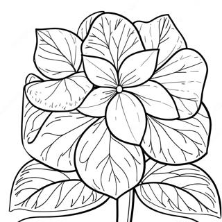 Hydrangea Coloring Pages