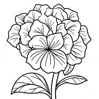 Hydrangea Flower Coloring Page 35782-28778