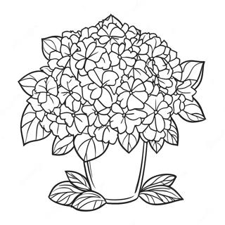 Beautiful Hydrangea Bouquet Coloring Page 35783-28783