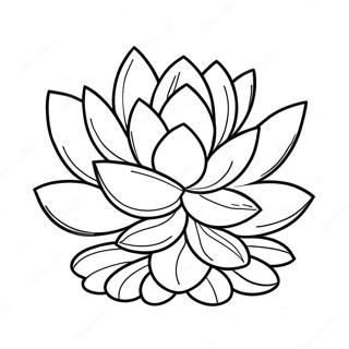 Succulent Coloring Pages