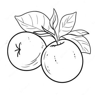 Charming Georgia Peach Coloring Page 36233-29141