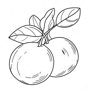 Charming Georgia Peach Coloring Page 36233-29143