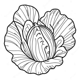 Lettuce Coloring Page 36362-29243