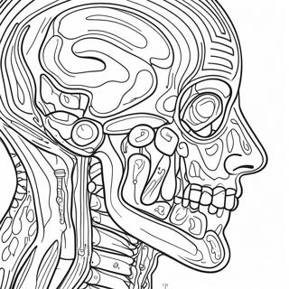 Anatomy And Physiology Human Body Coloring Page 37092-29831