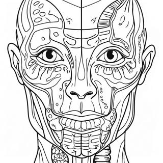 Anatomy And Physiology Human Body Coloring Page 37092-29832