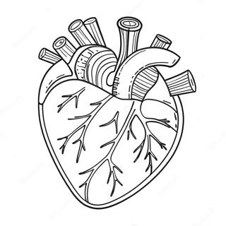 Detailed Heart Anatomy Coloring Page 37093-29828