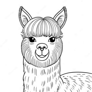 Alpaca Coloring Page 37172-29890