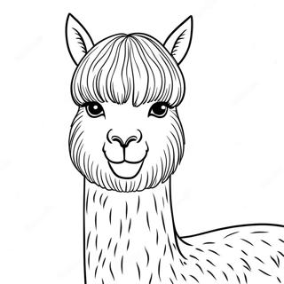 Alpaca Coloring Page 37172-29892