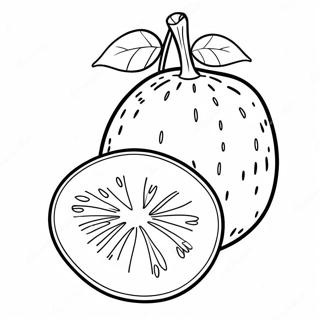 Kiwi Fruit Coloring Page 37612-30235