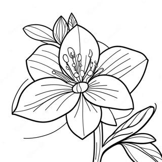 Delicate Orange Blossom In Bloom Coloring Page 38323-30807