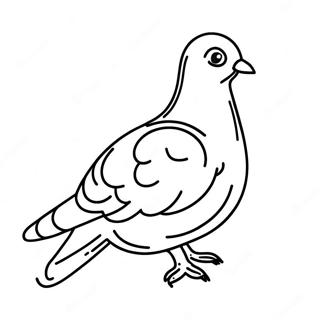 Pigeon Coloring Page 38632-31054