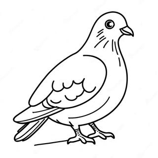 Pigeon Coloring Page 38632-31055