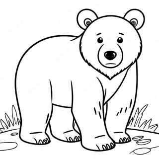 Brown Bear Coloring Page 3881-3194