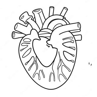 Cute Cartoon Heart Anatomy Coloring Page 3922-3226