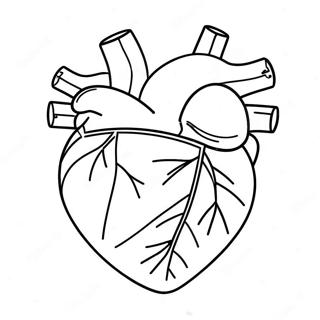 Cute Cartoon Heart Anatomy Coloring Page 3922-3227