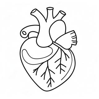 Cute Cartoon Heart Anatomy Coloring Page 3922-3228