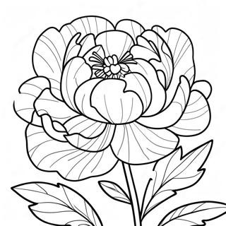 Peony Coloring Pages