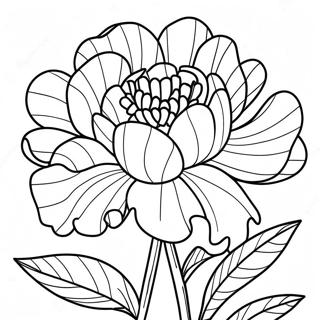 Peony Flower Coloring Page 39472-31704