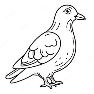 Pigeon Coloring Pages