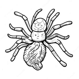 Tarantula Coloring Page 40102-32194