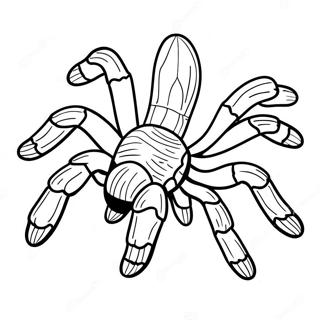 Tarantula Coloring Page 40102-32196