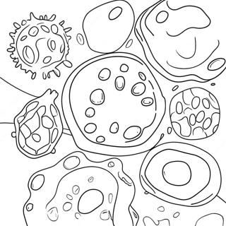 Animal Cell With Organelles Coloring Page 40203-32279