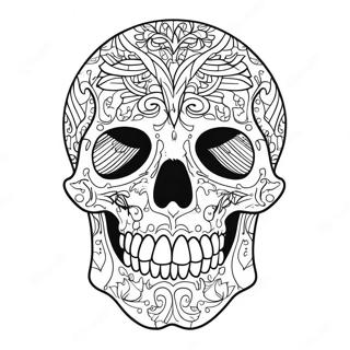 Detailed Skull Anatomy Coloring Page 40912-32836