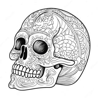 Skull Anatomy Coloring Pages