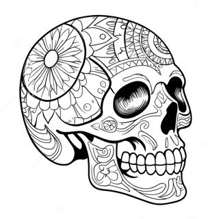 Realistic Human Skull Coloring Page 40913-32832