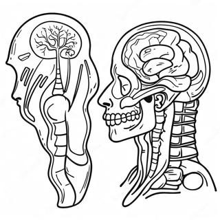 Human Anatomy Coloring Page 40962-32870