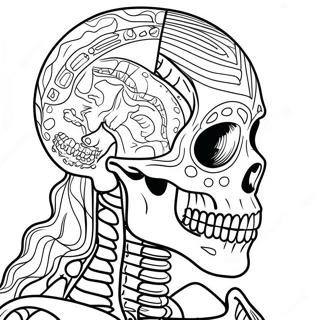 Detailed Human Skeleton Coloring Page 40963-32876