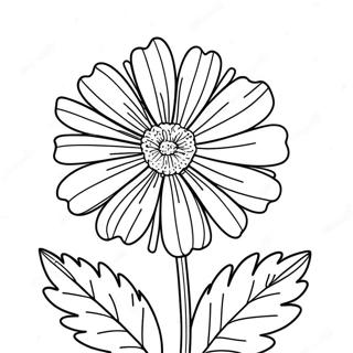 Marigold Coloring Pages