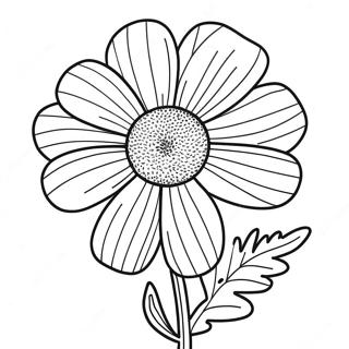 Marigold Flower Coloring Page 41122-32994