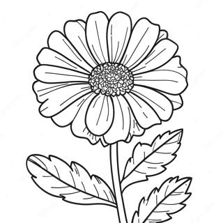 Marigold Flower Coloring Page 41122-32996