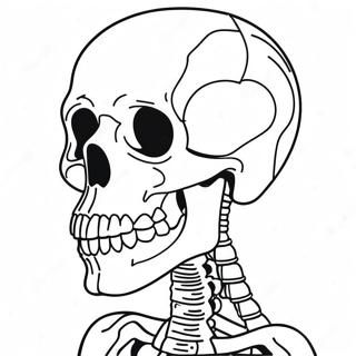 Human Skeletal System Coloring Page 41843-33575