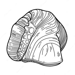 Clam Coloring Pages