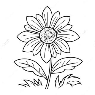 Nebraska State Flower Coloring Pages