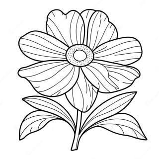 Nebraska State Flower Coloring Page 42942-34447