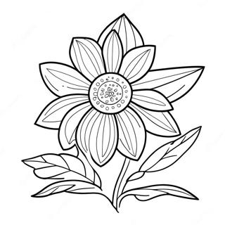 Nebraska State Flower Coloring Page 42942-34448