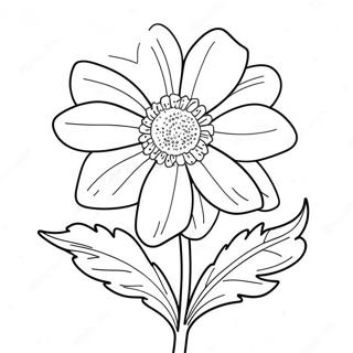 Beautiful Nebraska State Flower Coloring Page 42943-34449