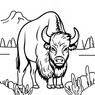 Bison In Yellowstone Coloring Page 43083-34563