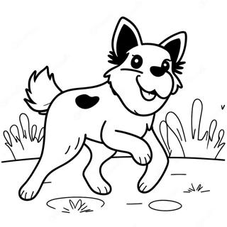 Border Collie Coloring Pages