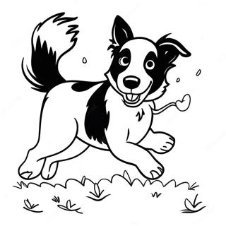 Border Collie Playing Fetch Coloring Page 43352-34762